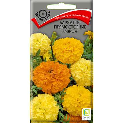 ������ ������ ������ �������� ������������ �������� 0,4� (�����) ����