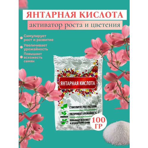 ������ ������ �������� ������� ��� �������� 100 �� ����