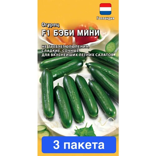 ������ ������ ������ ������ ������ 