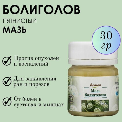 ������ ������ ���� ���������� ����