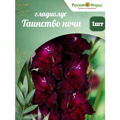 ������ ������ ��������� �������� ���� ����