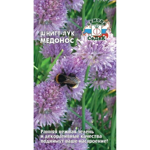 ������ ������ ������ ��� ����� ������� 0,5� (�����) ����