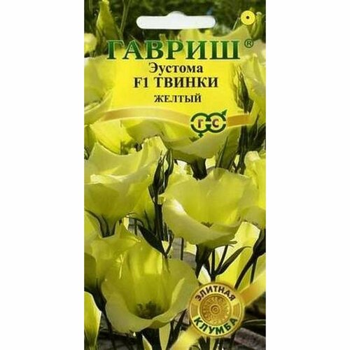 ������ ������ ������ ������� ������ F1, ������, ����������, (������) 5�� ����