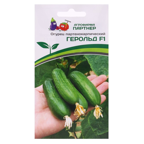 ������ ������ ������ ��������� ������� ������ ������� F1 5 ��. ����