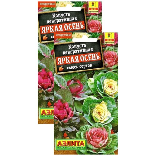 ������ ������ ������� ������������ ����� �����, ����� ������ (0,1 �), 2 ������ ����