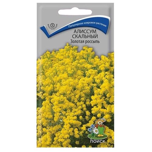 ������ ������ ������ ����� ������� �������� ������� ������� 0.1 � ����