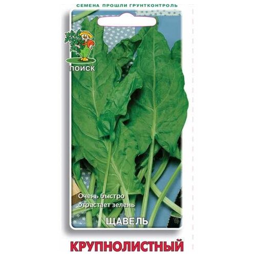 ������ ������ ������ 