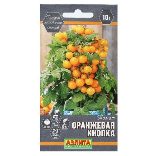 ������ ������ ������ ����� ��������� ������, ������, 0.2 � ����