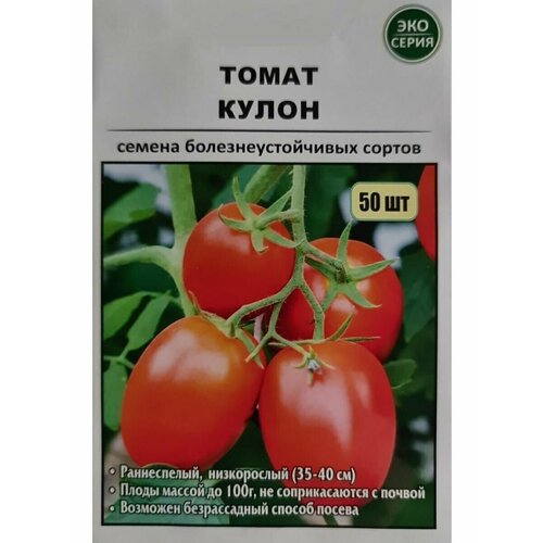 ������ ������ ����� ����� ����