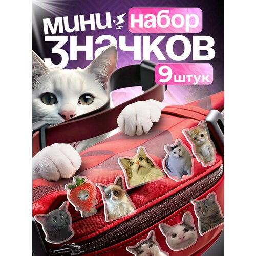 ������ ������ ������ �� ������ ����� ������ ���� ����