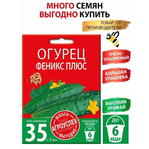 ������ ������ ������ ������ ����, ������ ��������� �����-������� 3� ����