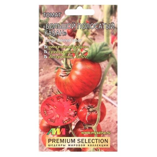 ������ ������ ������ ������ �.�. ����� ������� ��������� ����� 5 �� ����