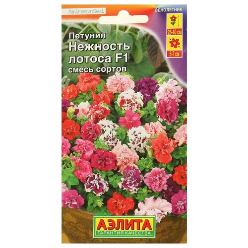 ������ ������ ������ ��������� ������ ������� �������� ������ F1 ��������������� ��������, ����� ������� 10 ��. (����� � ��������) ����