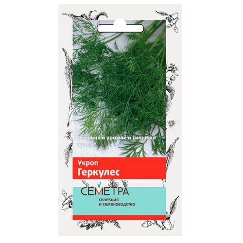 ������ ������ ������ ����� ������� ����� �������� 3 � ����