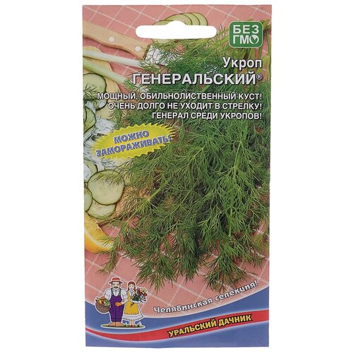 ������ ������ ������ ��������� ������ ����� 