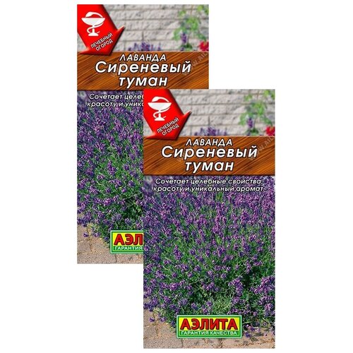 ������ ������ ������� ��������� ����� (0,1 �), 2 ������ ����