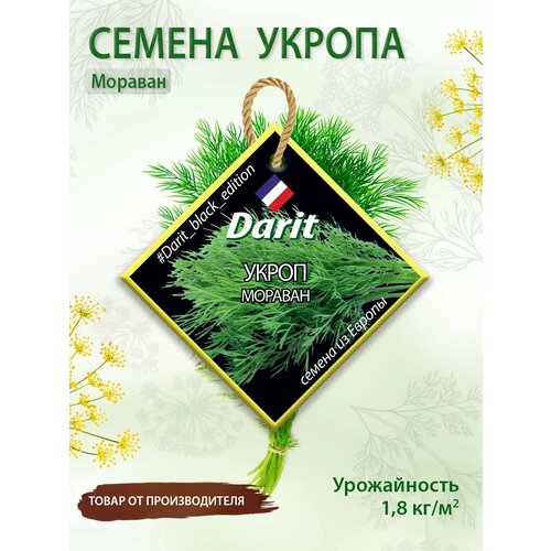 ������ ������ ������ ������ ������� Darit Black Edition ����