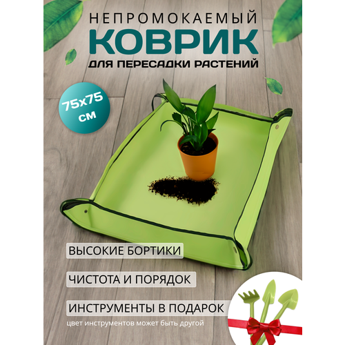������ ������ ������ ��� ��������� �������� � ������ ����
