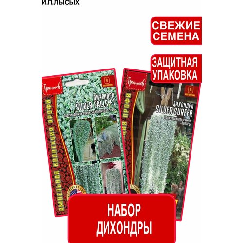 ������ ������ ����� ����� �������� ����