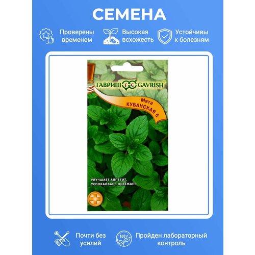 ������ ������ ������ ���� �������� ��������� ����