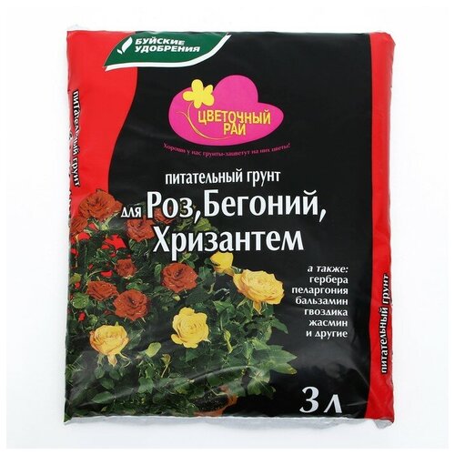 ������ ������ ����� ��� ���, ������� � ��������� 