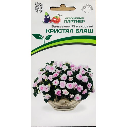 ������ ������ ������ ���������� F1 ������� ��������� 