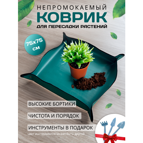 ������ ������ ������ ��� ��������� �������� � ������ ����� ������� ����