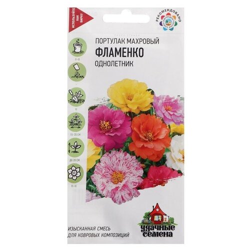 ������ ������ ������ �������� �������� 