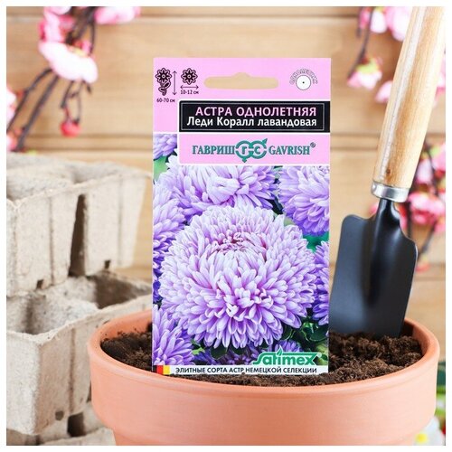 ������ ������ ����� ���� ����� ����������, ���������� ����