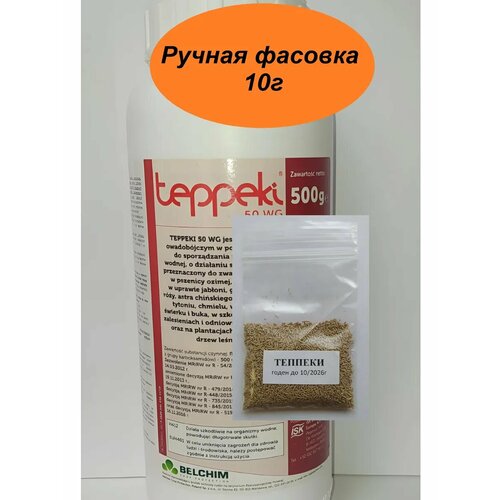 ������ ������ ������� 10� ���������� ����