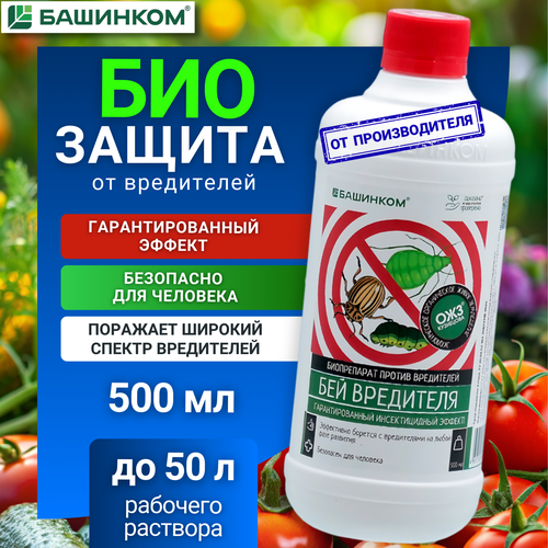 ������ ������ �������� ������ ��� �������� �� ��������� ��� ��������� 500 �� ����