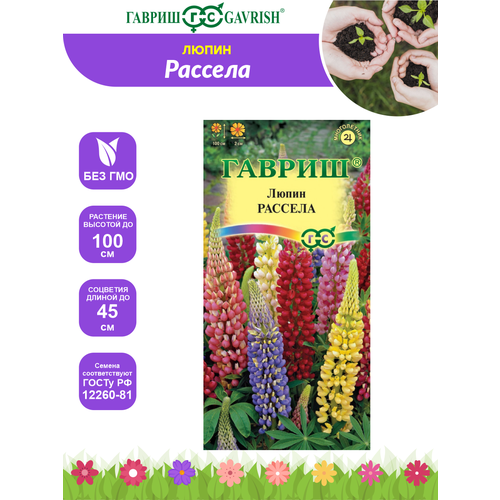 ������ ������ ������ ����� ������� ����� 0,5 ��. ����