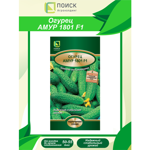 ������ ������ ������ ������ ���� 1801 F1 10 ��. ����