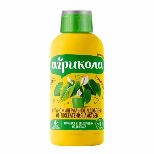 ������ ������ ��������� �� ���������� ������� �������� 250 �� ����