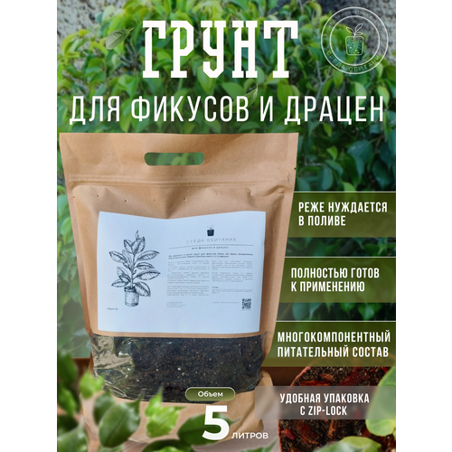 ������ ������ ����� 