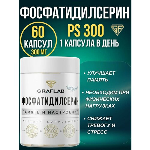 ������ ������ ���������������, 300 ��, 60 ������ ����