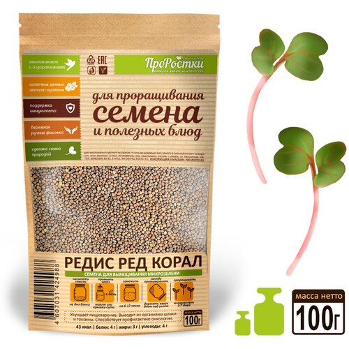 ������ ������ ����� ��� ����� ������ ��� �����������, 100 �� ����