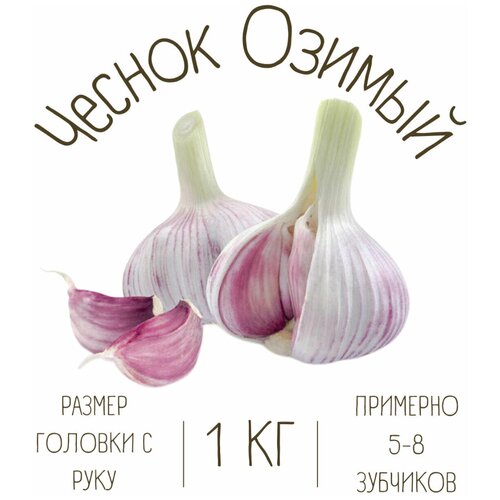 ������ ������ ������ ������ 1 �� ����