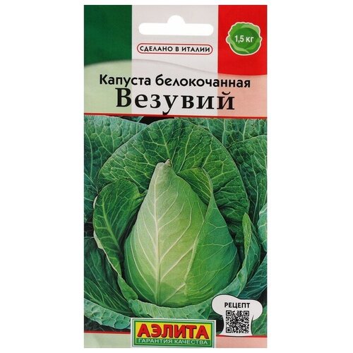 ������ ������ ������ ������� ������������ 