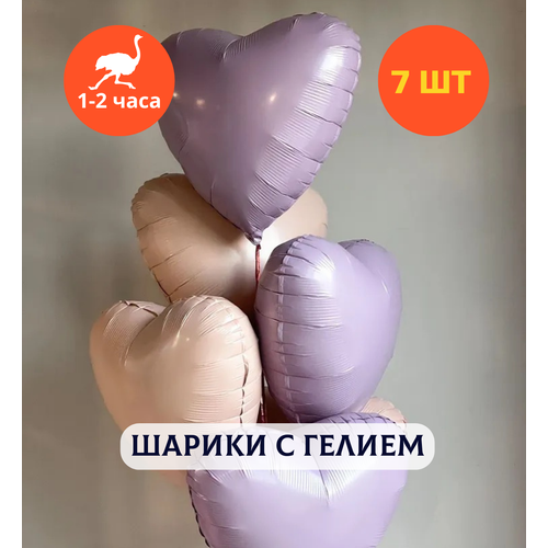 ������ ������ ������ ��������� �� ���� ��������, ��������� ���� � ������, ���� � ���� ��������, ����� ����� ��� ������� 