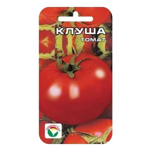 ������ ������ ������ ��������� ��� ����� ����� 20 ��. ����