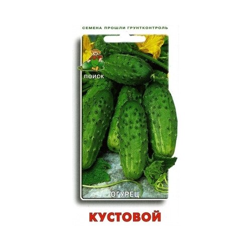 ������ ������ ������ ������� ����� �������� 15 �� ����