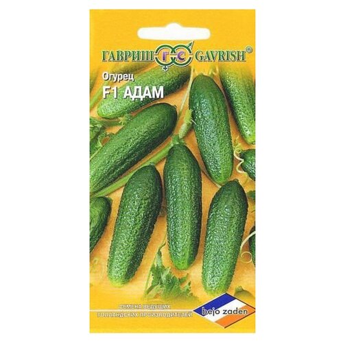 ������ ������ ������ ������ Bejo ������ ���� F1, �������� 5 ��. ����