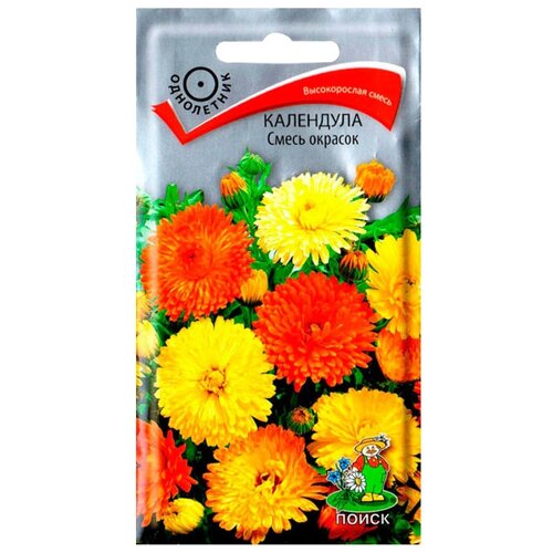 ������ ������ ������ ����� ��������� ����� ������� 1 � ����