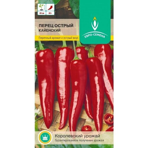 ������ ������ ����� ������ ��������� ������ ~ 40 ����� (0,3 ��.) ����