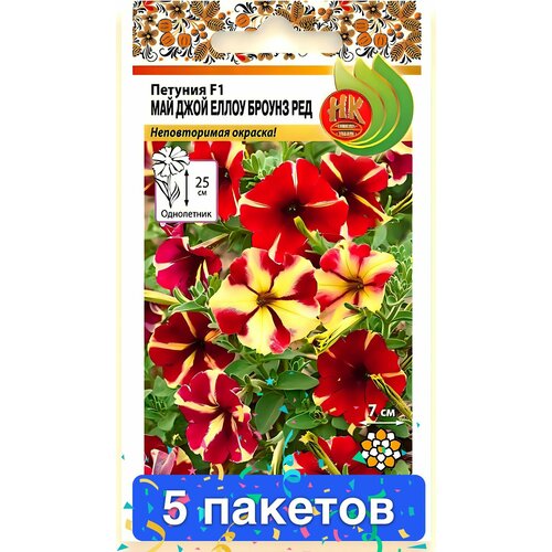 ������ ������ ����� ������� ��� ���� ����� ����� ��� 5 ������� ����