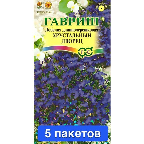 ������ ������ ����� ������� ����������� ������ 5 ������� ����