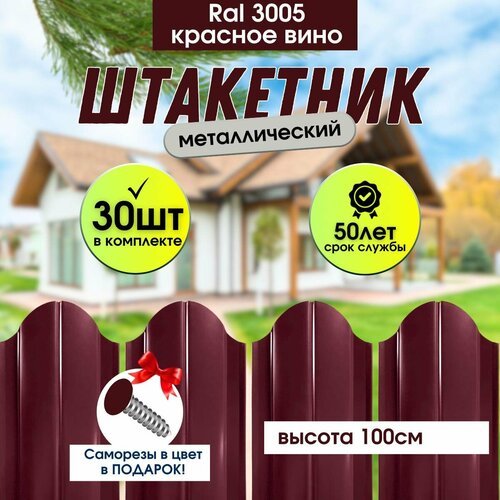 ������ ������ �������� ������� ��� ���� ��������� ������� ���� 100�� ����