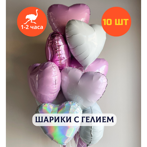 ������ ������ ������ ��������� �� ���� ��������, ��������� ���� � ������, ���� � ���� ��������, ����� ����� ��� ������� 