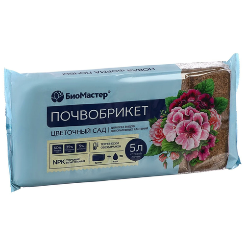 ������ ������ ����������� ��������� ���, 5 �. 